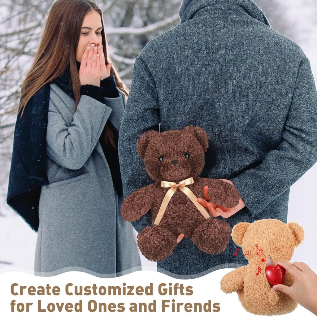 2 Pcs Bear Stuffed Animals with Voice Recorder Set 60 Seconds Voice Sound Recorder Module 16 Inch Soft Plush Bear Cute Stuffed Bear with Zipper Sound Box Recordable Heart for Boys Girls