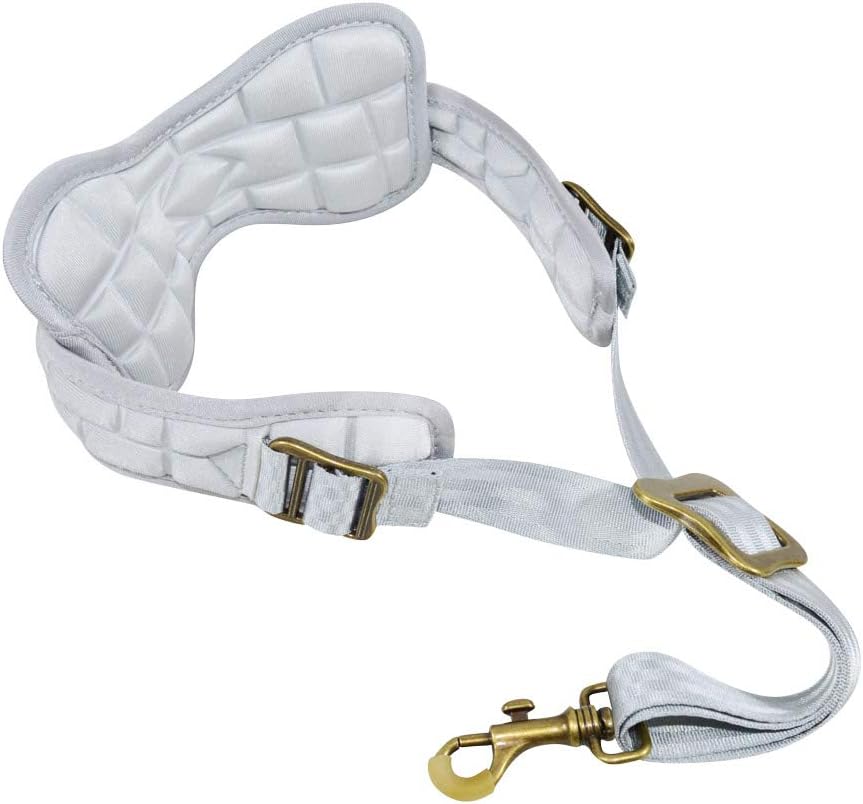 ADORENCE Padded Saxophone Neck Strap - Comfortable Sax Strap with Breathable, Removable  Washable Neck Strap Cushion - Sliver