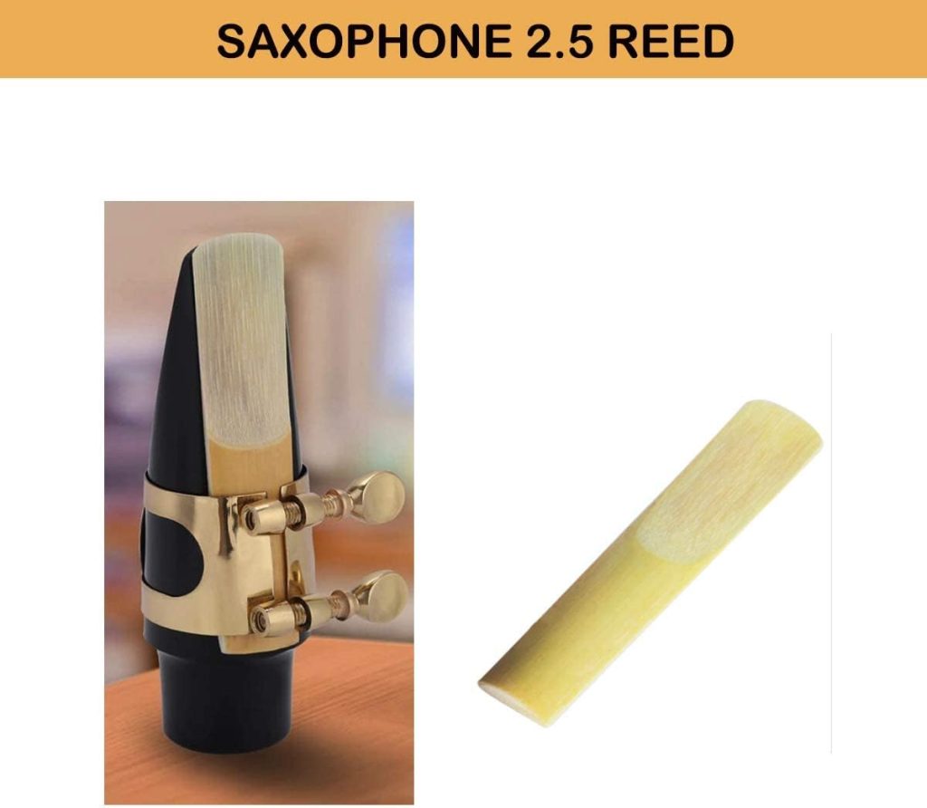 Alto Saxophones Mouthpieces Kit with Metal Ligature, Saxophone Strength 2.5 One Reed, Cushions and Plastic Cap Black