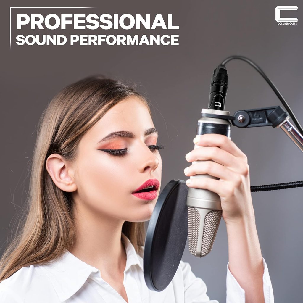 Balanced XLR Cable Male to Female - 1 Feet Black - Pro 3-Pin Microphone Connector for Powered Speakers, Audio Interface or Mixer for Live Performance  Recording