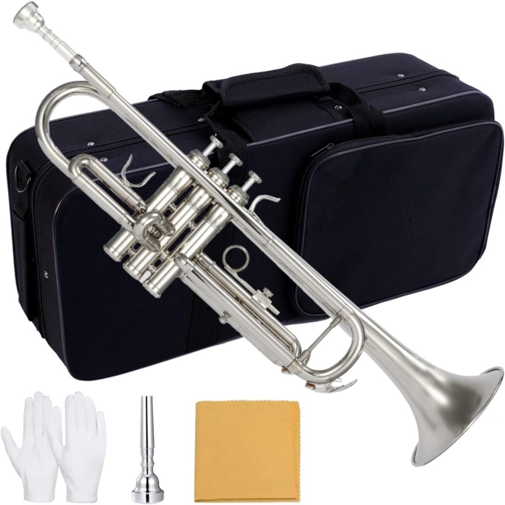 Dleisis Bb Standard Trumpets for Beginner or Advanced Student Brass Trumpet Instrument with 7C Mouthpiece, Hard Case, Polishing Cloth, Gloves, Brass Musical Instruments For Kids  Adults (Nickel)