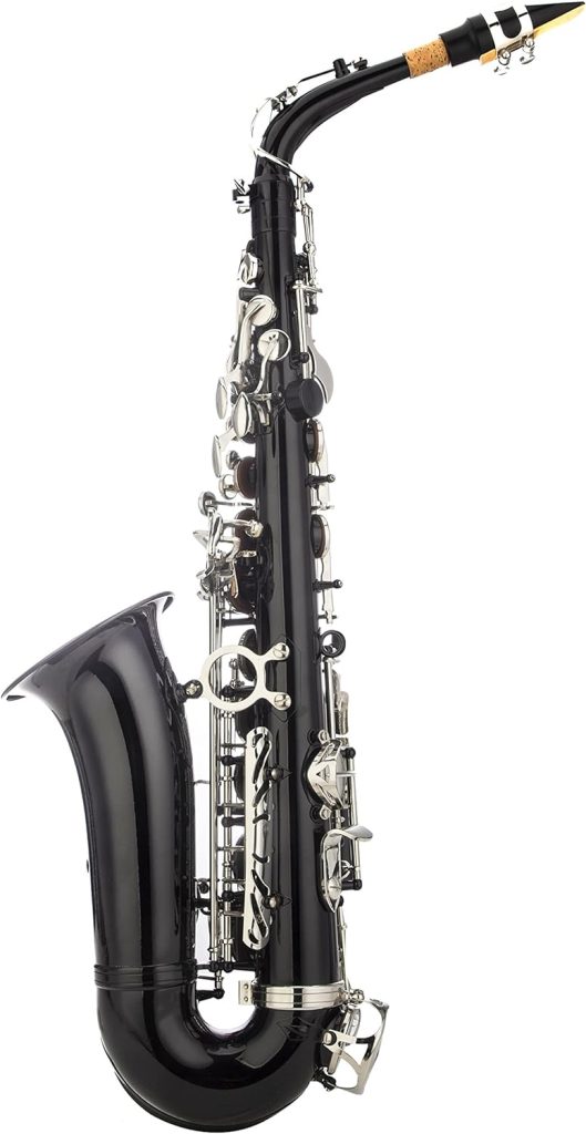 Glory Black/Silver keys E Flat Alto Saxophone with 11reeds,8 Pads cushions,case,carekit-More Colors with Silver or Gold keys