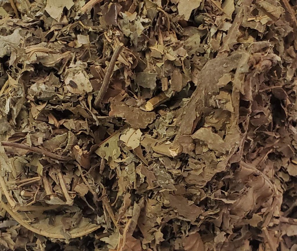 Guarumbo-Trumpet Tree Leaves/Cecropia obtusifolia 1/2 Pound aka Chancarro, Grayumbo, Guarumbo, Hormiguillo, Pop-a-Gun, Snakewood Tree, Tree of Laziness, Trompeto, Yagrumo
