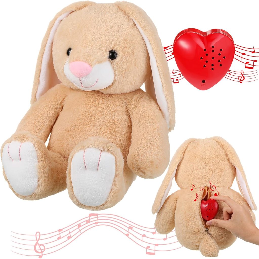 Hungdao 2 Pcs 16 Inch Recordable Stuffed Animals 60 Sec Heart Voice Recorder Set Bunny Stuffed Animal Plush Toy Voice Recorder Playback for Stuffed Animal Sound Box Recordable Heart for Boys Girls