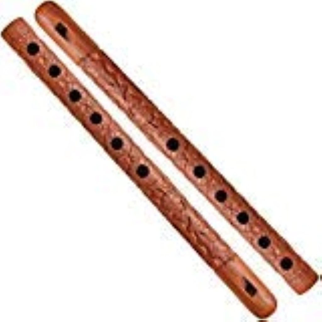 IBLAY Traditional Wooden Flute Great Sound Woodwind Musical Instrument - Gift Flute for Kids (Set of 2)