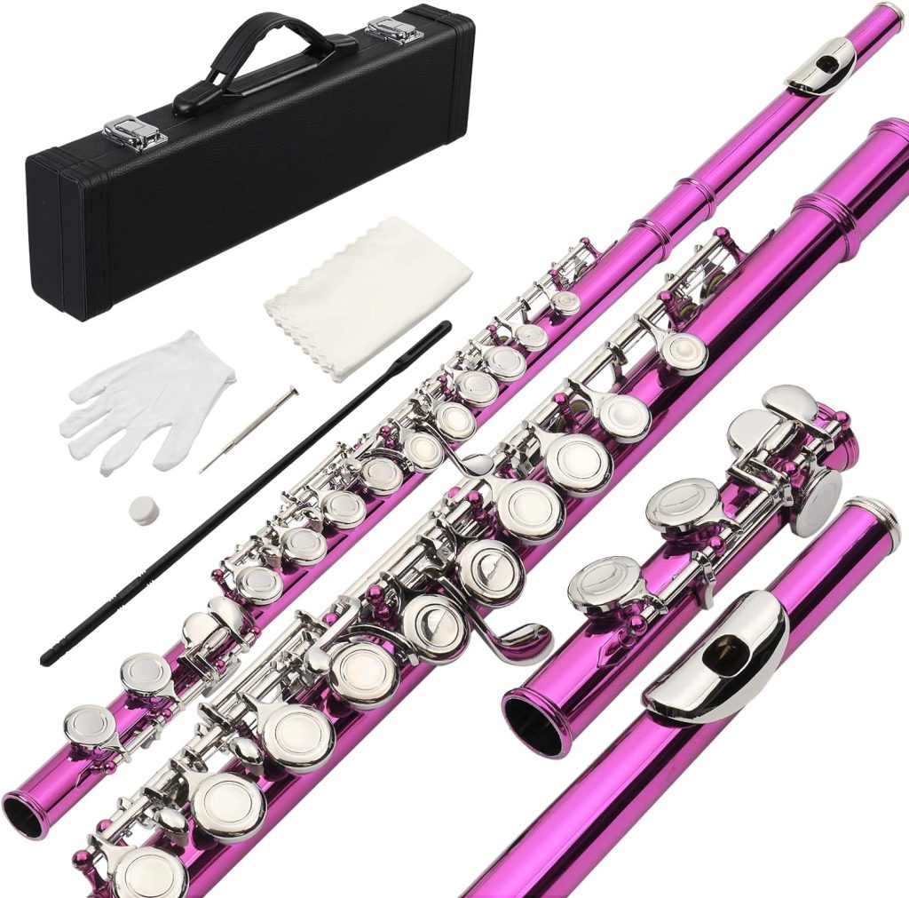 Ktaxon C Closed Hole Flute 16 Keys Flutes Kit for Students, Professionals  Beginner, Orchestra Musical Nickel Flute with Hard Case, Cleaning Rod, Cloth, Gloves (Rose Red)