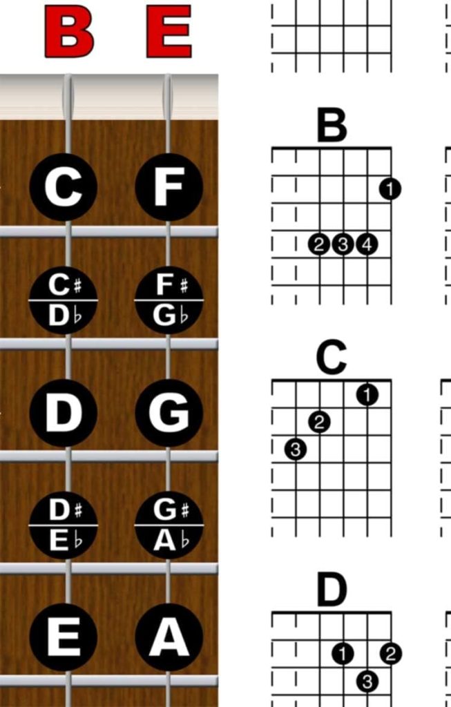 Laminated Guitar Fretboard  Chord Chart - Easy Instructional Poster for Beginner 8.5x11 | A New Song Music