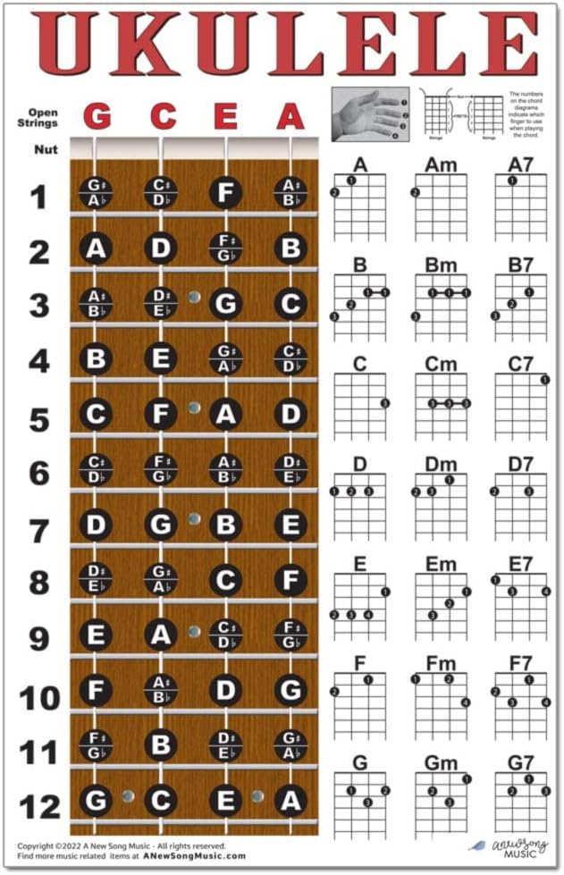 Laminated Ukulele Fretboard Notes  Easy Beginner Chord Chart 11x17 Instructional Poster for Soprano Concert Tenor Uke by A New Song Music