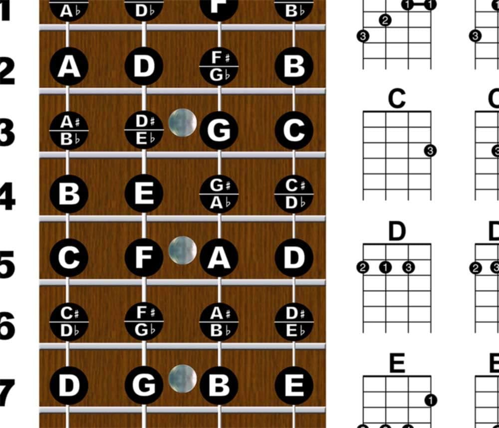 Laminated Ukulele Fretboard Notes  Easy Beginner Chord Chart 11x17 Instructional Poster for Soprano Concert Tenor Uke by A New Song Music