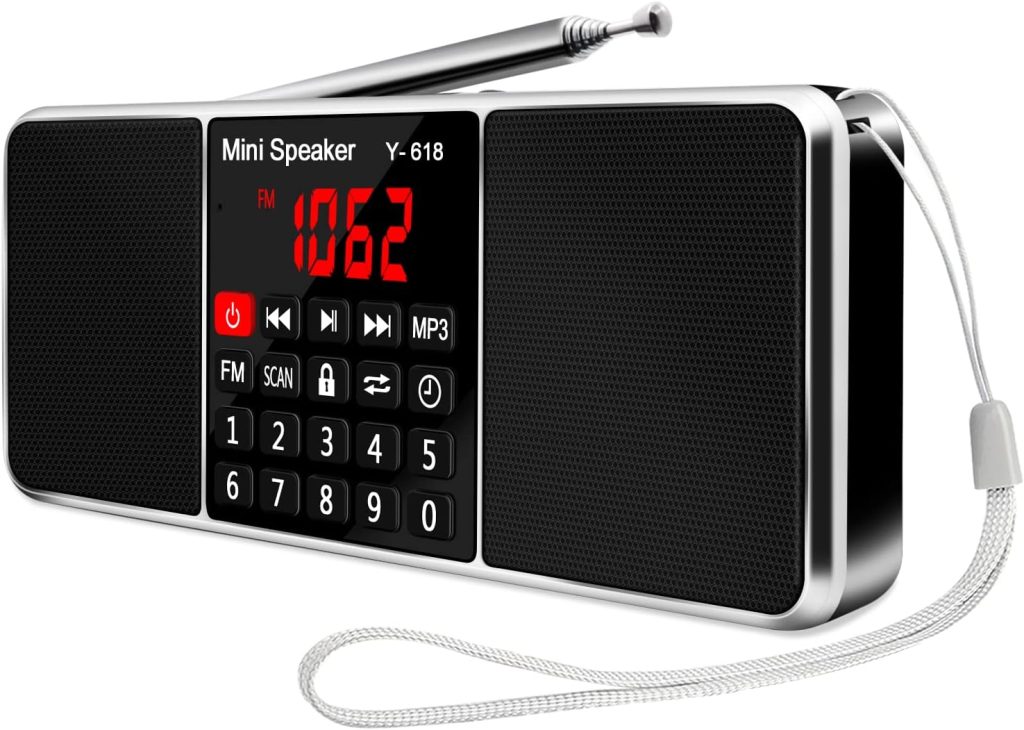 LEFON Multifunction Digital FM Radio Media Speaker MP3 Music Player Support TF Card USB Drive with LED Screen Display and Setting Timing Shutdown Function (Black)