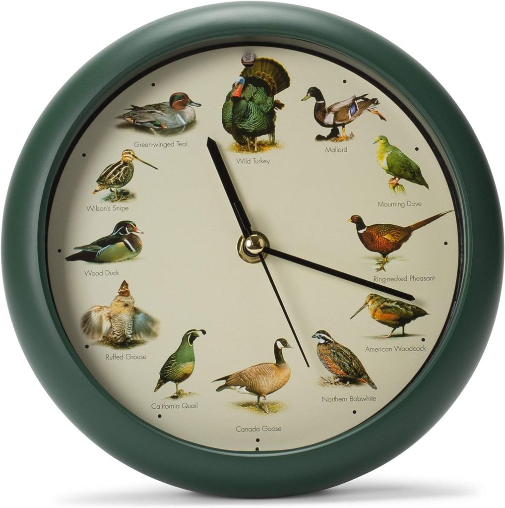 Mark Feldstein  Associates Singing Wild Game Birds of North America Hunting Wall/Desk Sound Clock, 8 Inch