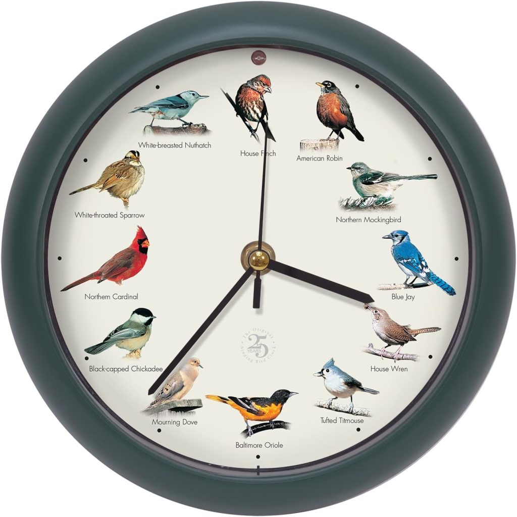 Mark Feldstein  Associates The Original Singing Bird Clock 25th Anniversary Edition (8 Inch, Green)