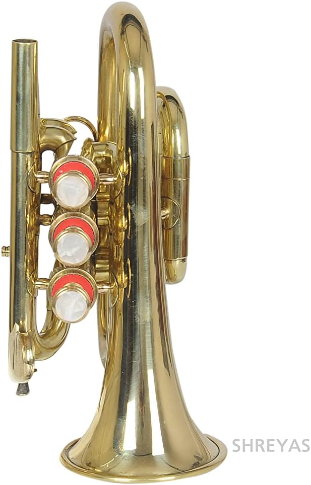 NEW Pocket Trumpet, Bb, Brass BEST SOUND AND WITH CASE RDS839