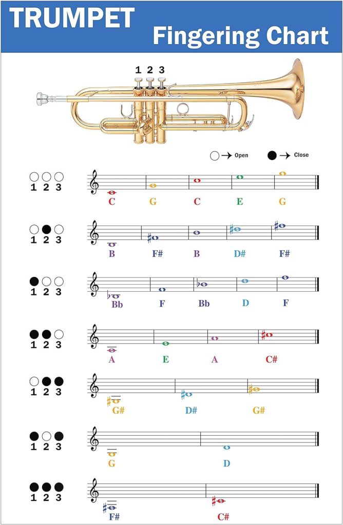 QMG Trumpet Fingering Chart with Color-Coded Notes, Learn Trumpet Technique Suitable for All Levels, Made in the USA