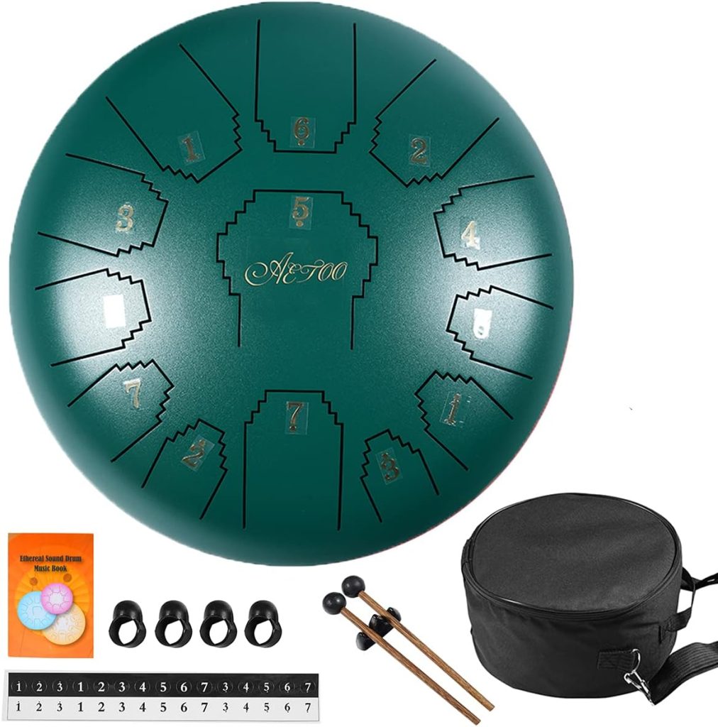 Steel tongue drum 12 inches 13 notes AETOO C major Handpan Kit Tank Drum Percussion Instrument with Drum Mallets Padded Travel Carry Bag Music Book and Finger Picks for Beginner