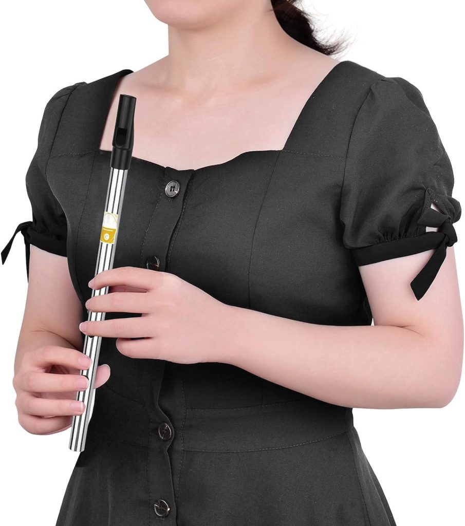  Clarke WHISTLE, black (SBDC) : Musical Instruments