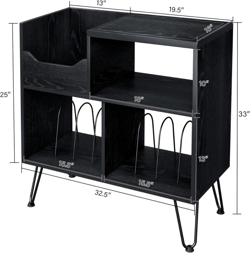 TC-HOMENY 2-Tier Movable Vinyl Record Storage Rack, Vinyl Record Shelf, LP  Storage Shelf, Record Holder for Albums, Large Capacity Vinyl Record