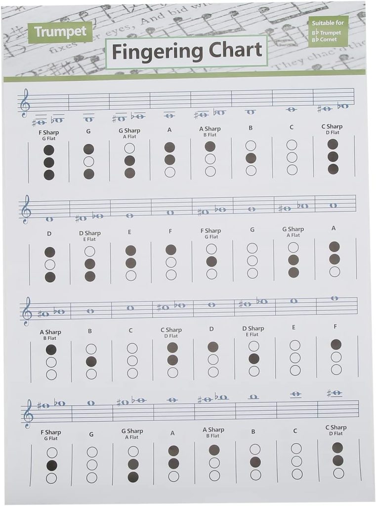Trumpet Chord Chart Chords Reference Poster Scales Reference Guide Fingering Practice Chart(Trumpet Chord Chart (Large Size))