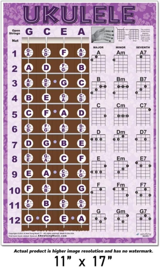 Ukulele Fretboard  Chord Chart Instructional Poster GCEA Tuning Uke Soprano Concert Tenor A New Song Music 11x17
