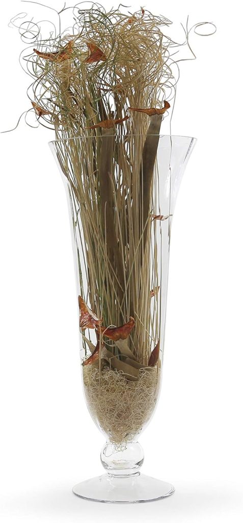 WGV Trumpet Vase, Open Width 10, Height 24, Flared Hurricane (Multiple Sizes Choices) Clear Glass Floral Planter Centerpiece, Wedding Event Home Decor, 1 Piece (VHV1007)