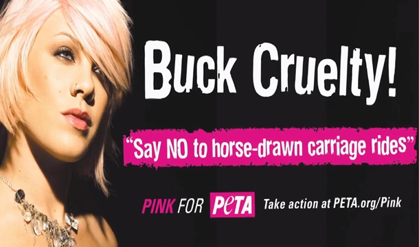 Pink Appears In New PETA Horse Drawn Carriage Campaign (Video)