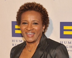 Comedian/actress Wanda Sykes is set to take on the void left by the Fox ske...