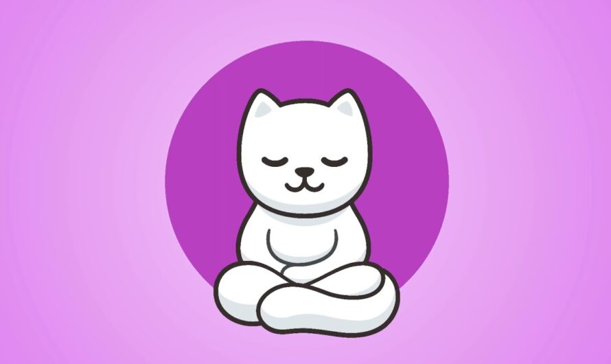 Kittycoin Review [KSOL] – Is Kittycoin Dogecoin 3.0?