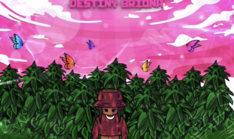 Destiny Briona releases new single “No Drugs”