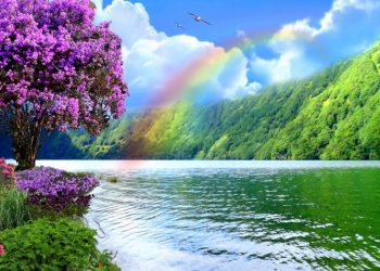 20 Songs about Rainbows