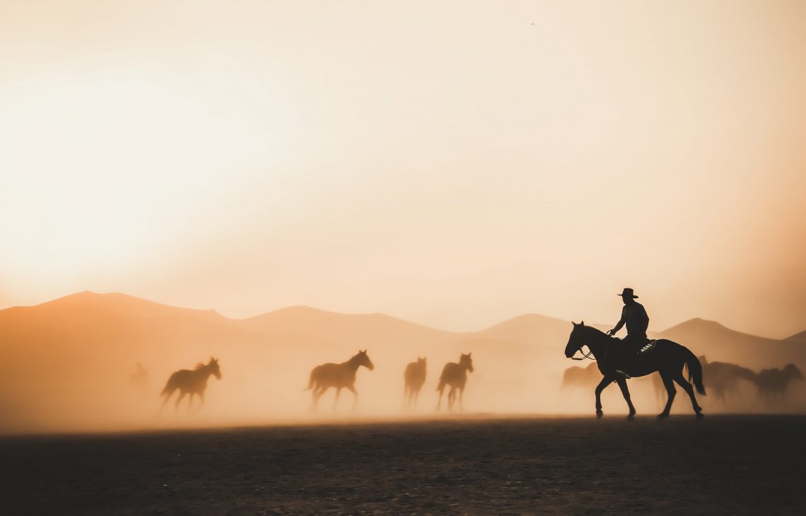 19 Best Bluegrass Songs You Have to Hear