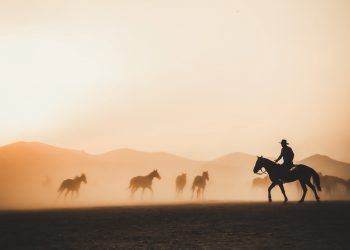 19 Best Bluegrass Songs You Have to Hear