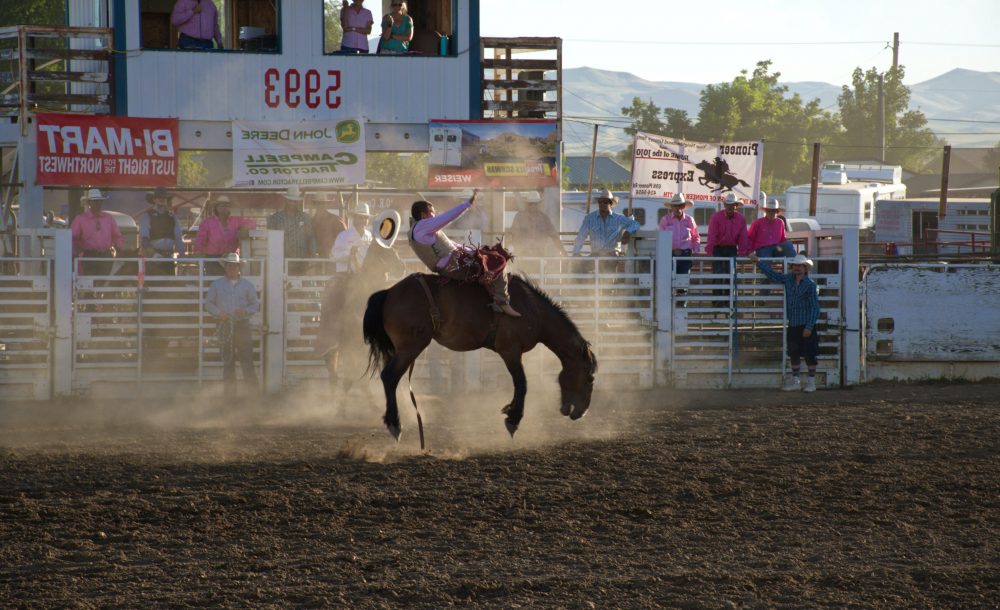 23 Best Rodeo Songs