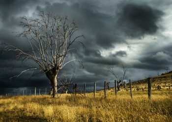 14 Best Songs About Storms of All Time