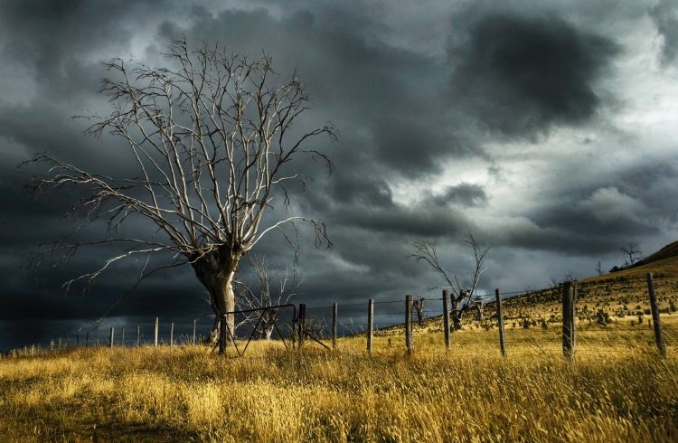 14 Best Songs About Storms of All Time