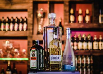 19 Best Songs about Alcohol to Celebrate Your Favorite Tipple