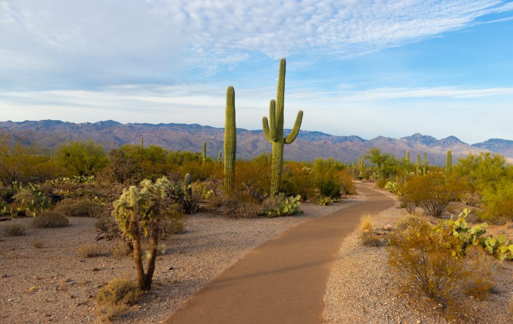 28 Best Songs about Arizona, the Grand Canyon State - Singersroom.com