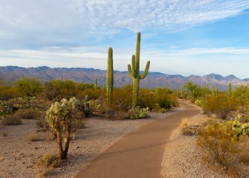 28 Best Songs about Arizona, the Grand Canyon State