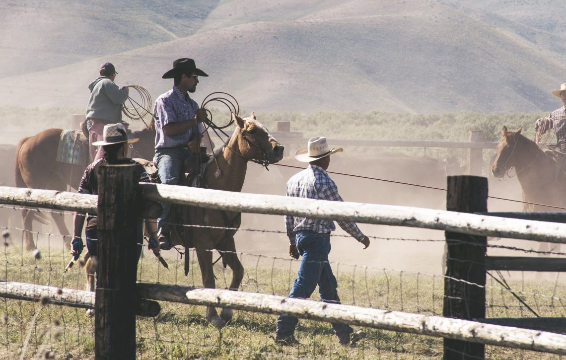 19 Best Songs about Cowboys
