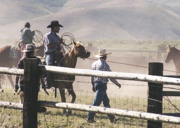 19 Best Songs about Cowboys