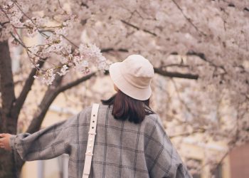 19 Best Songs about Spring and Springtime