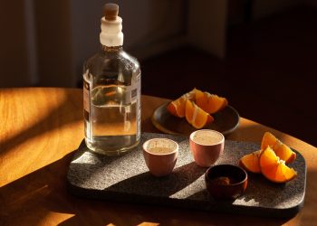 25 Best Songs about Tequila