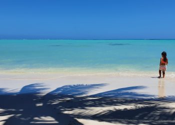 11 Best Songs from Moana the Movie