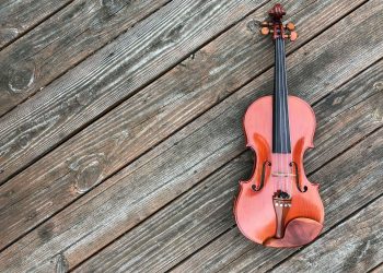 19 Easy Violin Songs for Beginners to Play