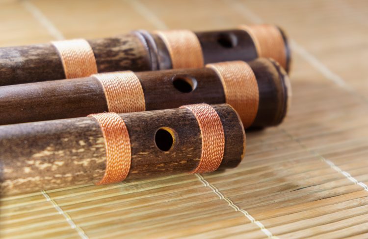 10 Best Musical Instruments That Start With the Letter J