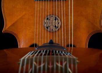 13 Best Musical Instruments That Start With the Letter L