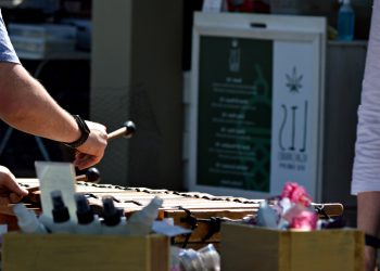 20 Best Musical Instruments That Start With the Letter M