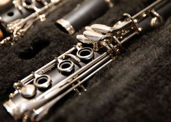 14 Best Musical Instruments That Start With the Letter O