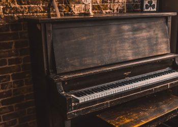 16 Best Musical Instruments That Start With the Letter P