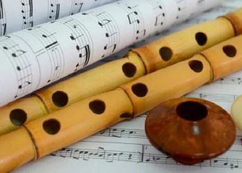 15 Best Musical Instruments That Start With the Letter N