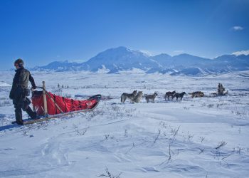 20 Songs About Alaska